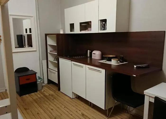 Spacious Central Oslo Studio